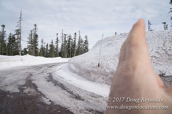 Medows Exit & Snow Park