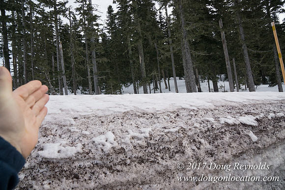Medows Exit & Snow Park
