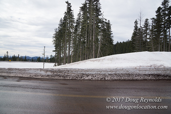 Medows Exit & Snow Park