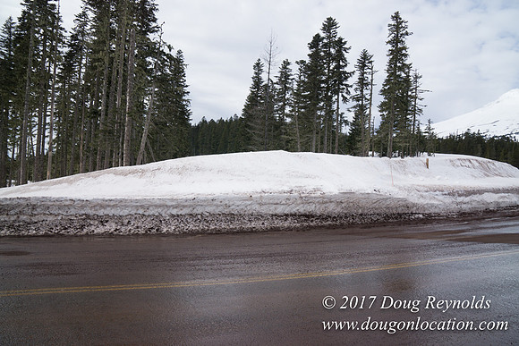 Medows Exit & Snow Park