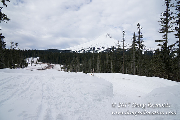 Medows Exit & Snow Park