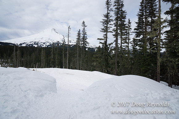 Medows Exit & Snow Park