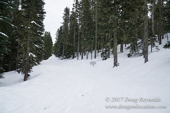 Medows Exit & Snow Park