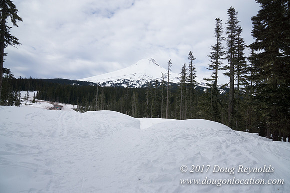 Medows Exit & Snow Park