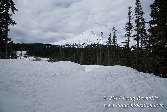 Medows Exit & Snow Park