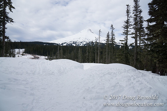 Medows Exit & Snow Park