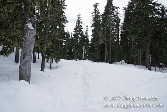 Medows Exit & Snow Park