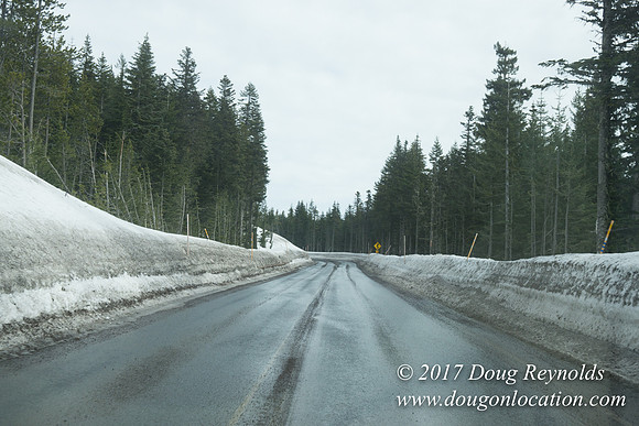 Medows Exit & Snow Park