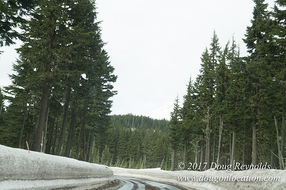 Medows Exit & Snow Park