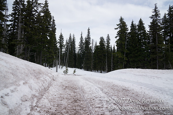 Medows Snow Road