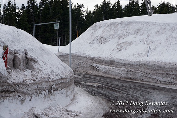 Medows Snow Road