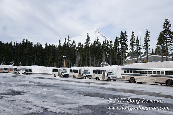 Medows Snow Road