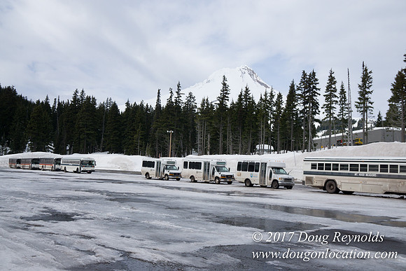 Medows Snow Road