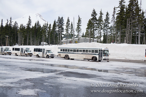 Medows Snow Road