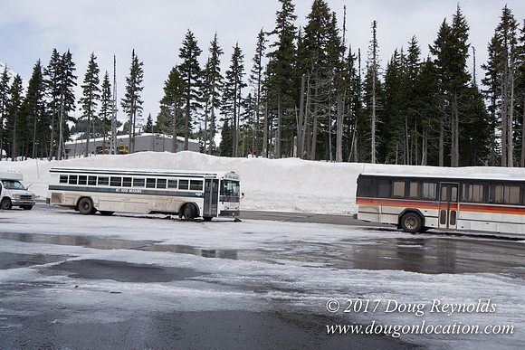 Medows Snow Road