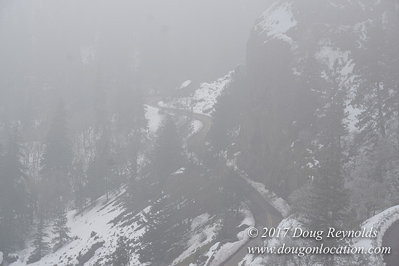 Rowena Crest Snow