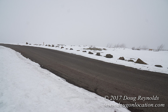 Rowena Crest Snow