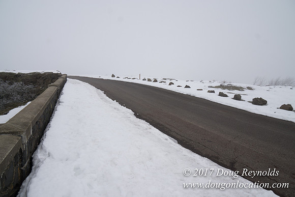 Rowena Crest Snow