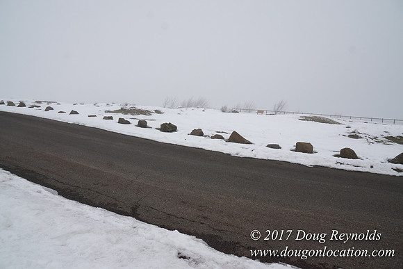 Rowena Crest Snow