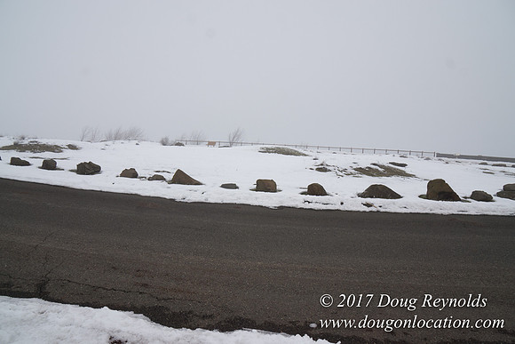 Rowena Crest Snow