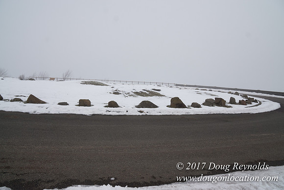 Rowena Crest Snow