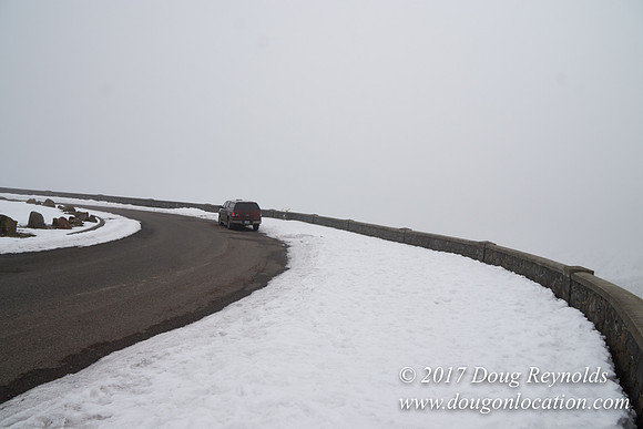 Rowena Crest Snow