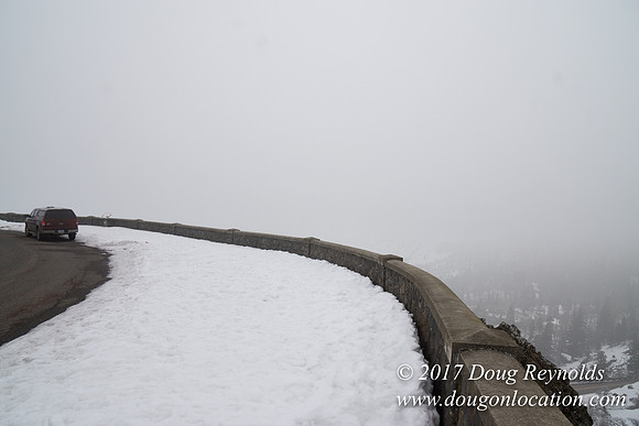 Rowena Crest Snow