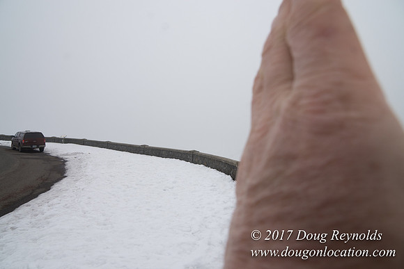 Rowena Crest Snow