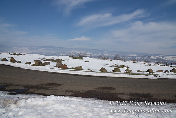 Rowena Crest Snow
