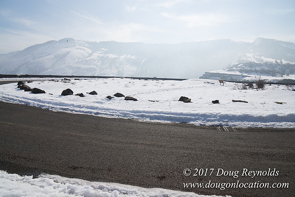 Rowena Crest Snow
