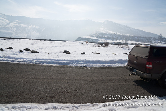 Rowena Crest Snow