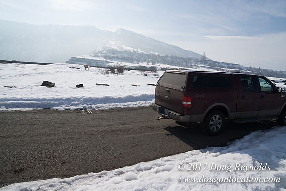 Rowena Crest Snow