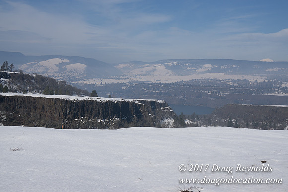 Rowena Crest Snow