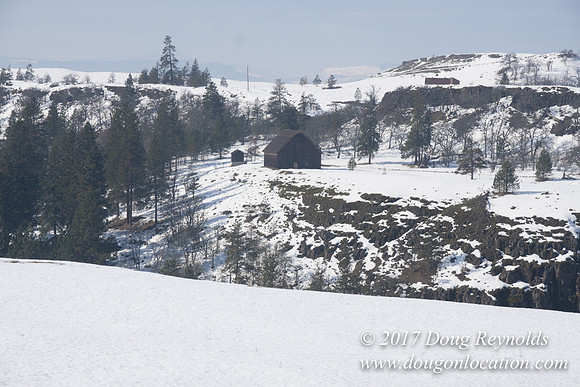 Rowena Crest Snow