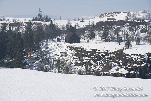Rowena Crest Snow