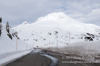 Timberline Rd Snow