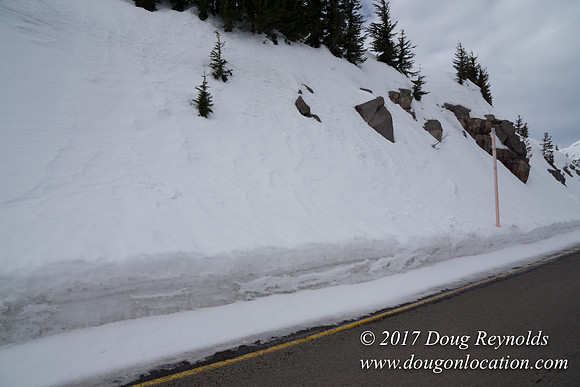 Timberline Rd Snow