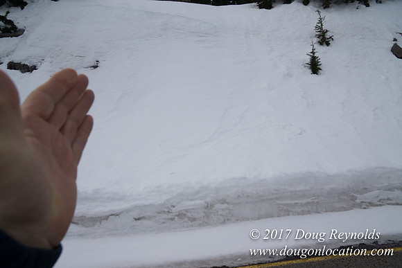 Timberline Rd Snow