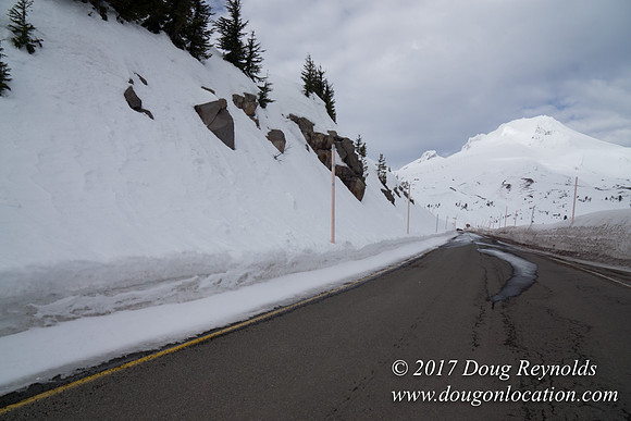 Timberline Rd Snow
