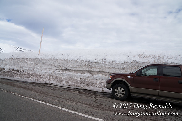 Timberline Rd Snow