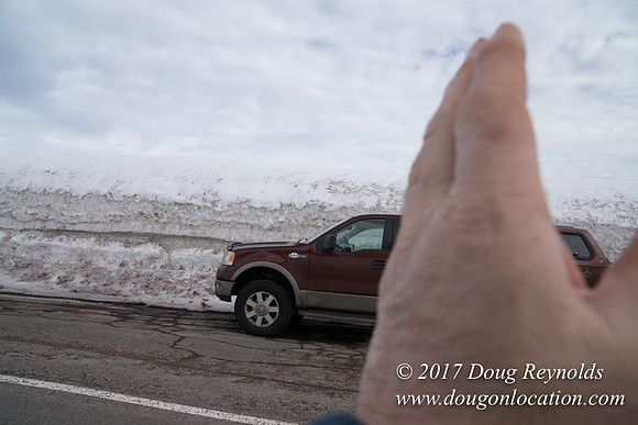 Timberline Rd Snow