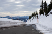 Timberline Rd Snow