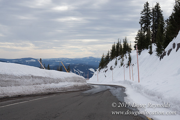 Timberline Rd Snow