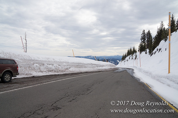 Timberline Rd Snow