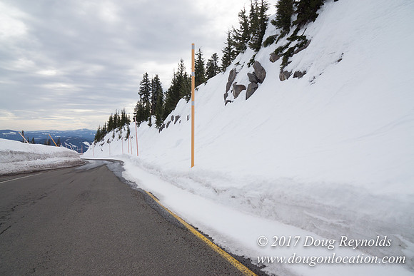 Timberline Rd Snow