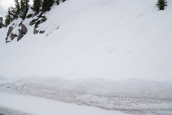 Timberline Rd Snow