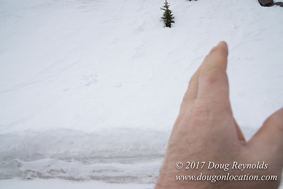Timberline Rd Snow