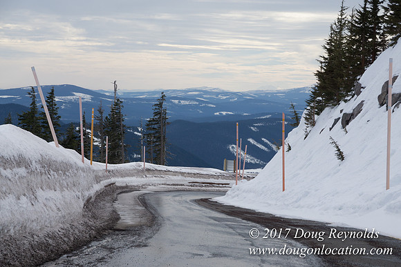 Timberline Rd Snow
