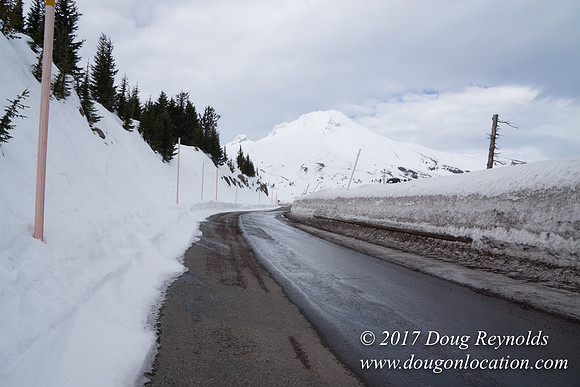Timberline Rd Snow