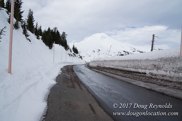Timberline Rd Snow